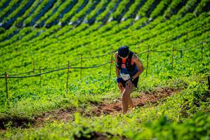 BIB: 705
                            <button type="button" onclick="openModal(19161376)" class="btn btn-primary btn-sm float-right btn-popup" data-toggle="modal" data-target=".modal-high-quality">
                        <i class="fas fa-shopping-cart"></i> Add to Cart
                    </button>
                                            <button type="button" onclick="isThisMe(19161376, true)" class="btn btn-success btn-sm float-right btn-popup btn-isme hidden" data-toggle="tooltip" data-placement="bottom" title="นี่คือรูปของคุณใช่ไหม คลิกที่นี่เพื่อเอาเข้าอัลบั้ม">
                        <i class="fas fa-plus"></i> Add to album
                    </button>
                    <button type="button" onclick="isThisMe(19161376, false)" class="btn btn-warning btn-sm float-right btn-popup btn-isnotme hidden">
                        <i class="fas fa-ban"></i> Remove from album
                    </button>